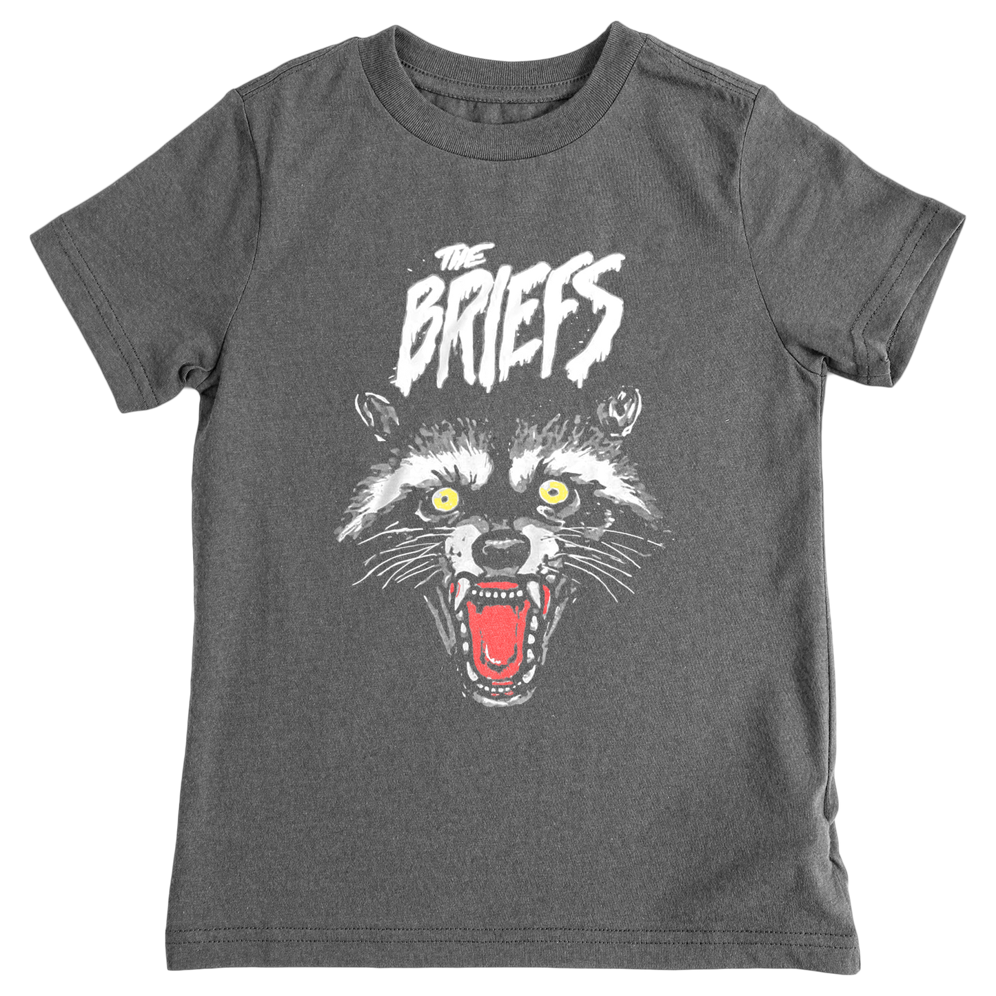 Raccoon Tee (Colorful)
