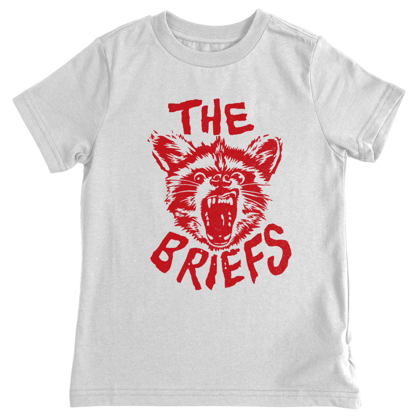Billy Idol Raccoon Tee