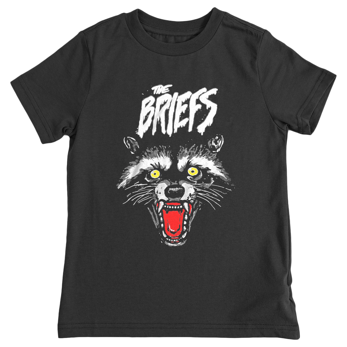 Raccoon Tee (Colorful)